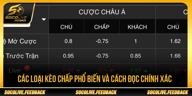 Các loại kèo Handicap phổ biến hiện nay
