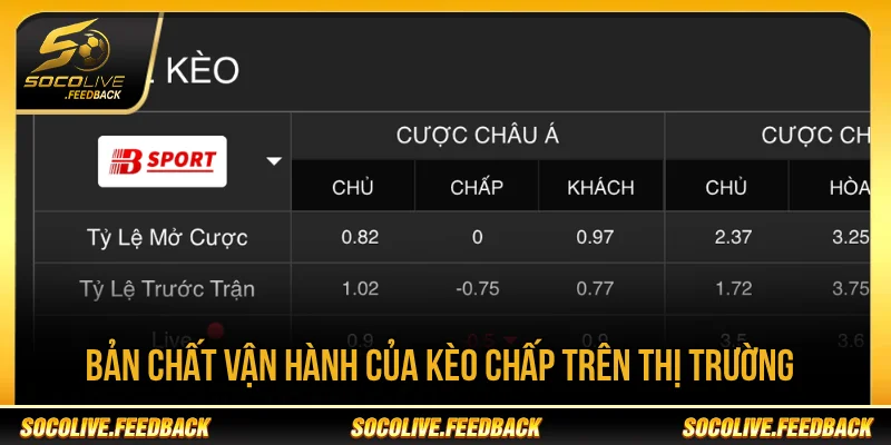 Kèo handicap là kèo chấp trong bóng đá